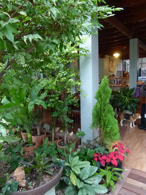 Ban Boonchu Bed and Breakfast Phra Nakhon Si Ayutthaya Exteriör bild